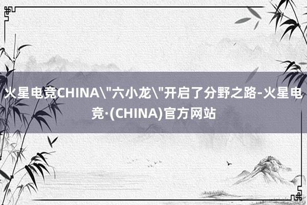 火星电竞CHINA＂六小龙＂开启了分野之路-火星电竞·(CHINA)官方网站